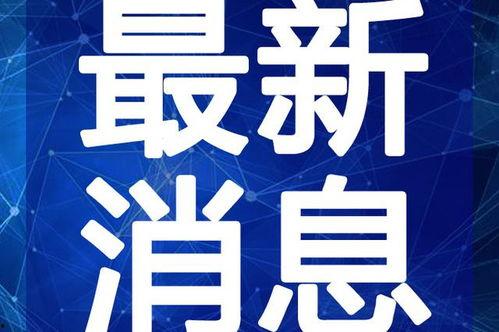 小萍情感爆料视频大全最新,揭秘娱乐圈背后的真实情感故事
