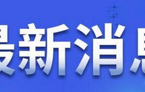 沈阳社会新闻最新爆料,惊曝某事件引发全城关注