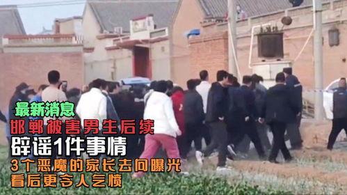 邯郸事件最新爆料,惊人内幕揭露真相